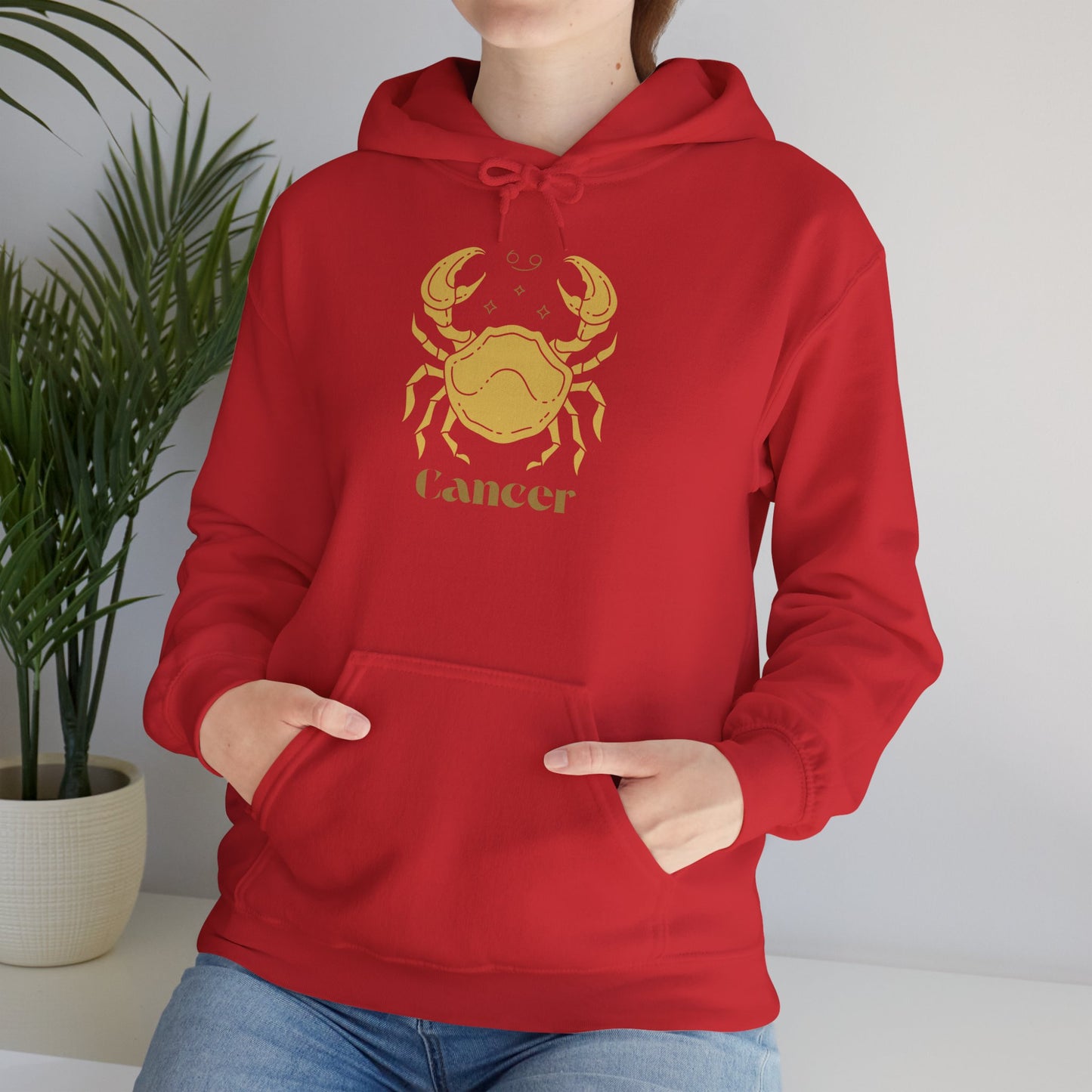 Cancer Zodiac Hoodie, Astrology Sweatshirt, Unisex Comfort Wear, Birthday Gift, Horoscope Apparel